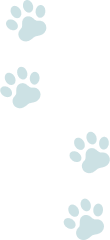 猫の足跡の画像