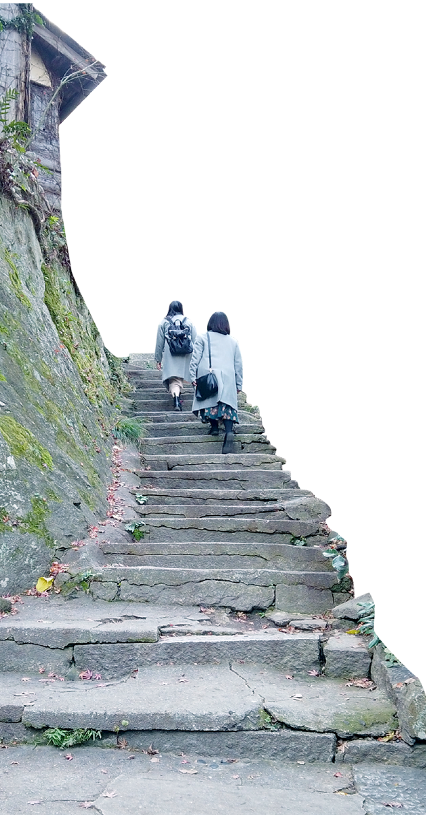 女性2人が階段を登っている画像